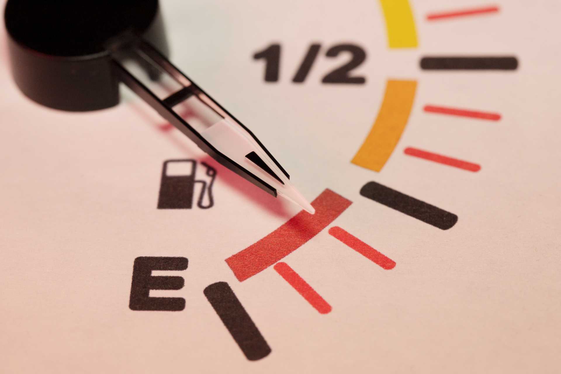 Nunc Volutpat Venenatis